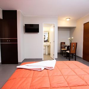 Suite Junior